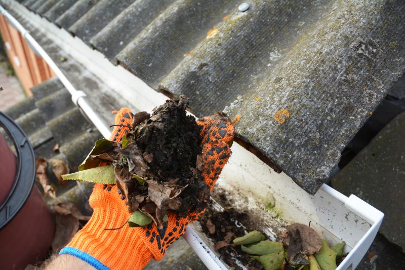 Gutter Pine Needle Removal in Annapolis, MD