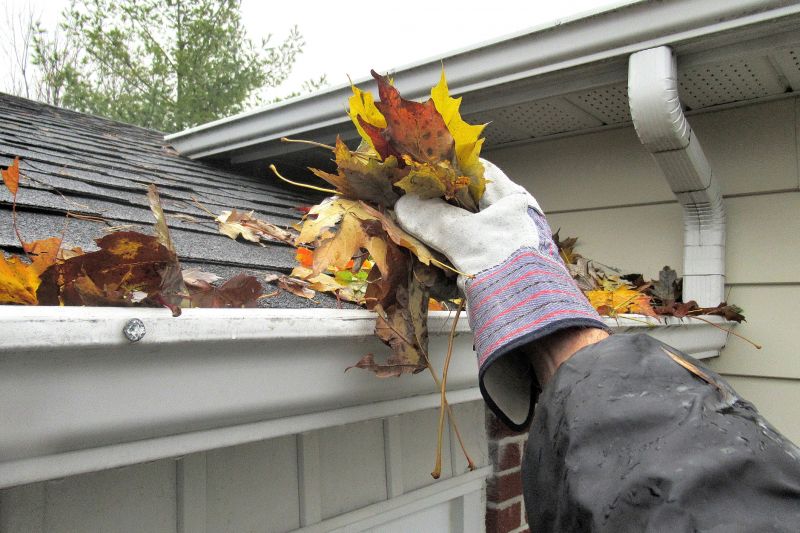 Rain Gutter Clearing in Annapolis, MD