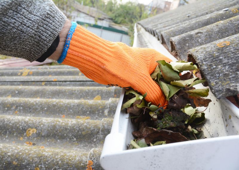 Roof Gutter Cleaning in Frederick, MD